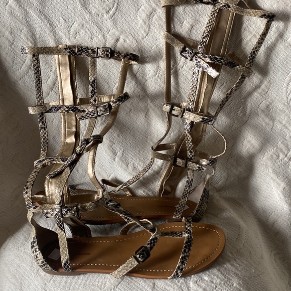 BCBGeneration High Gladiator Snakeskin Print Sandals - Picture 2 of 12